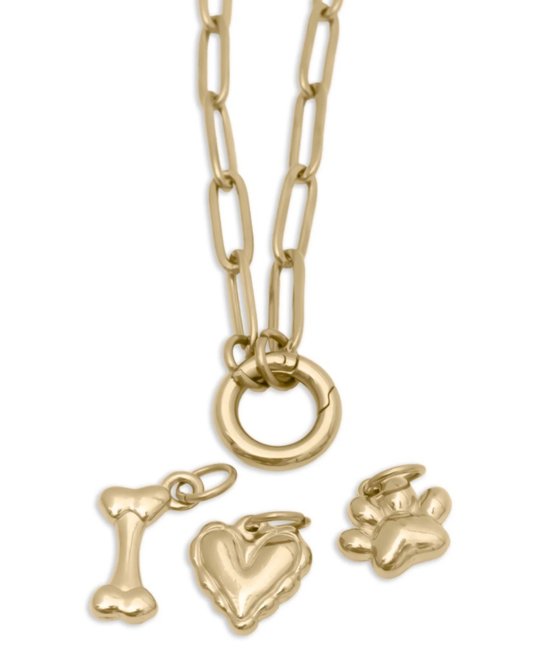 DIY Charm Necklace - Pet