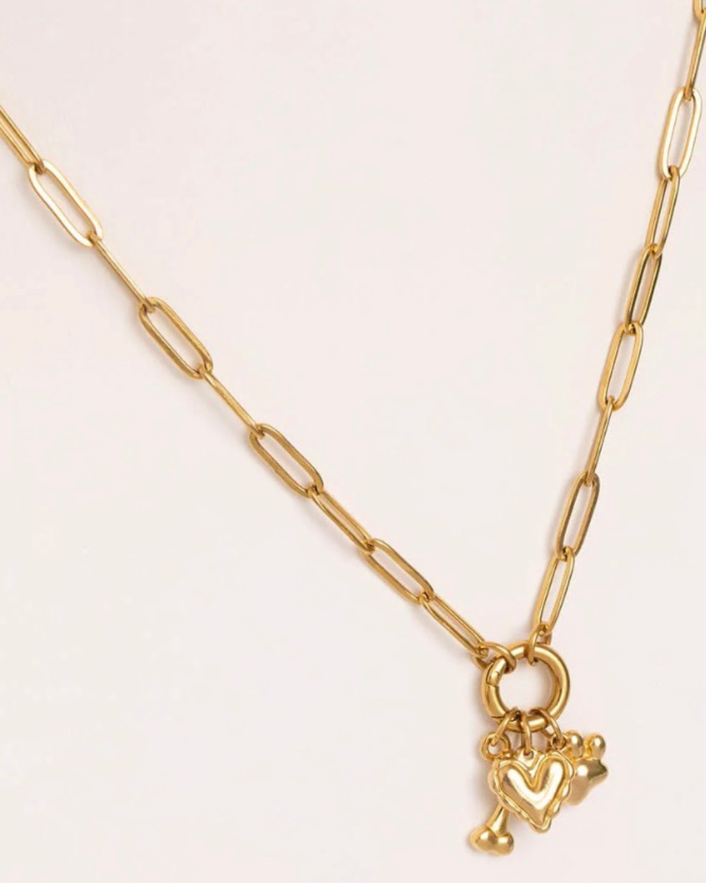 DIY Charm Necklace - Pet